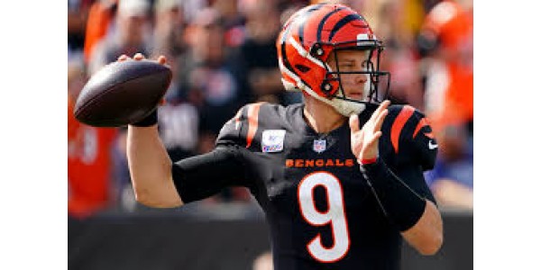 Alla har stora förhoppningar på prestationen av Cincinnati Bengals under den nya säsongen